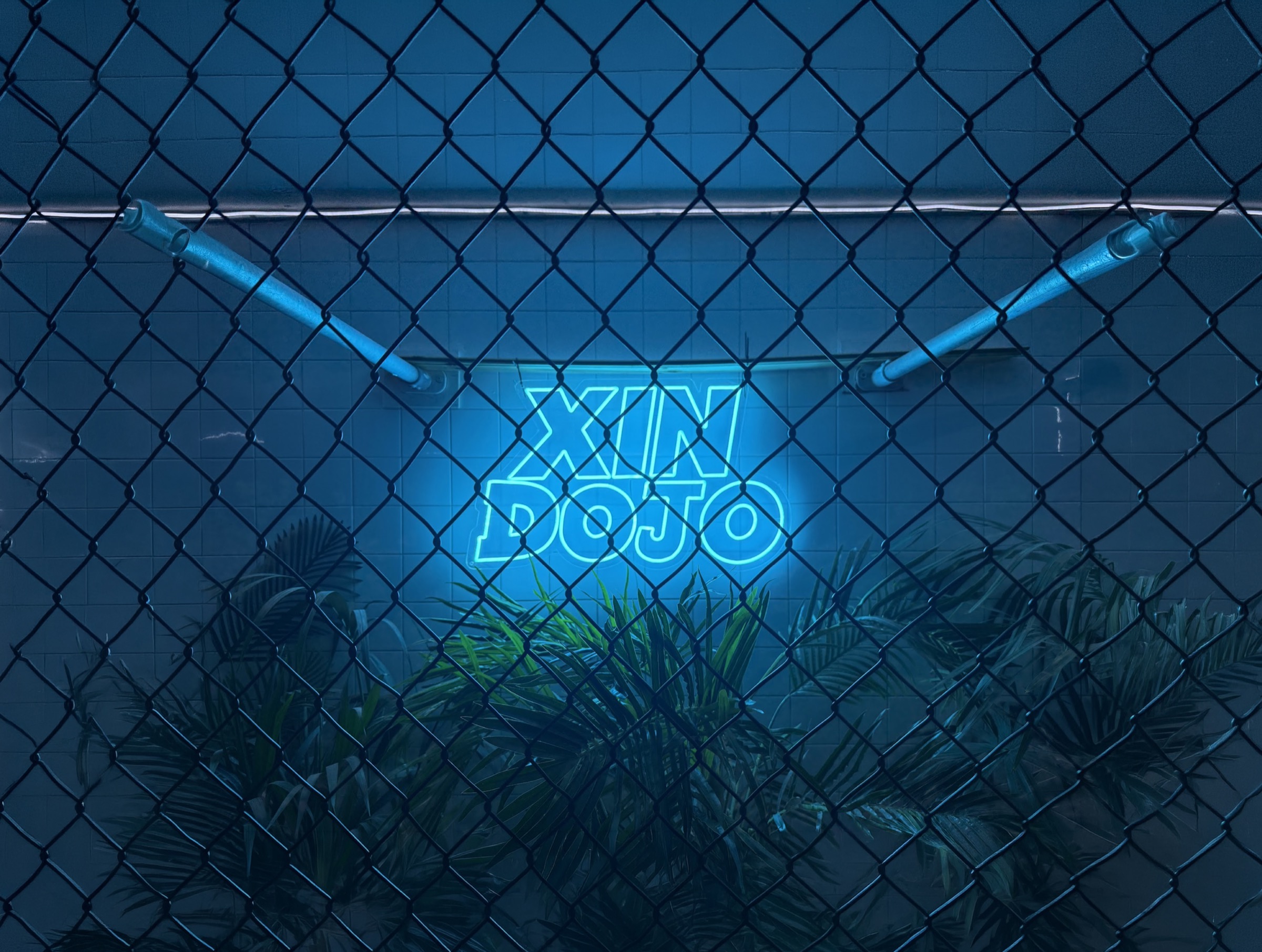 Xin Dojo Neon Sign